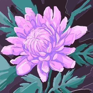 Meet your Posher, Sandra